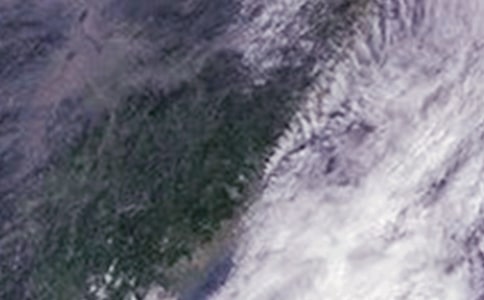 防台风防汛工作总结(通用14篇)