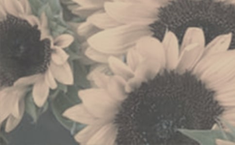 ���������̫����Ů�����и�