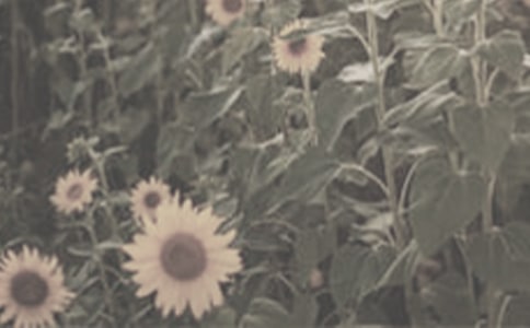 �������̫����Ů���������