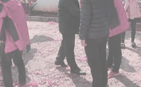 ̽��ǩ֤���뺯