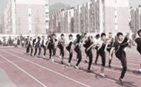 һ�꼶��������ѧ�ƻ�