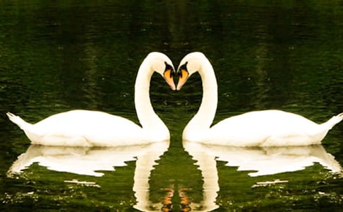 �����������ˮ�����ид�ȫ��15ƪ��