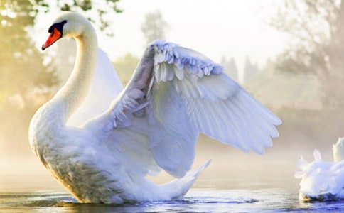 ������С�ŵ���졷�и�