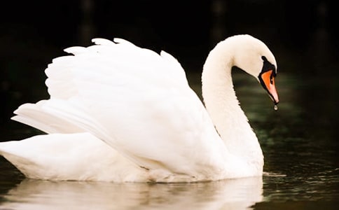 Ұ�������(ͨ��15ƪ)