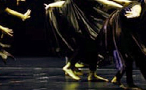 ���̰����������Ҷ����