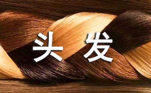 ����ѧ�̰�����Ȥ��ͷ��