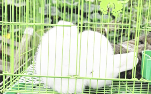 �����¶����[����15ƪ]