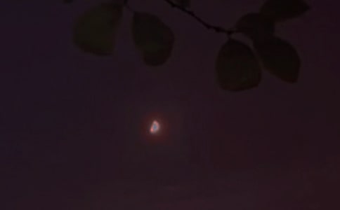 �򵥵�Ψ���������ʺ�����¼����86��