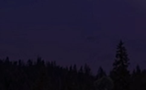 ʵ�õ�����������΢���ʺ���ժ¼50��