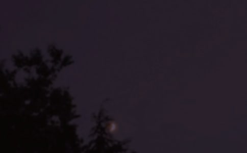 简短的美好的晚安QQ问候语37句