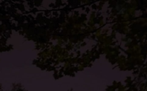 ��ů�������ʺ������48��