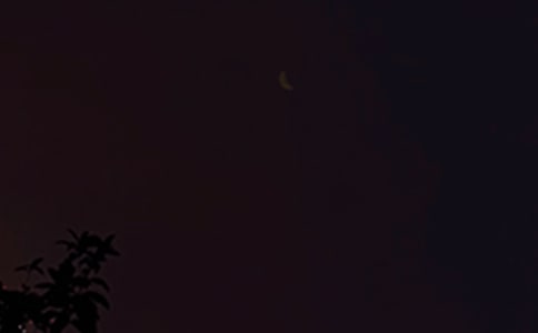 ͨ�������ʺ������54��