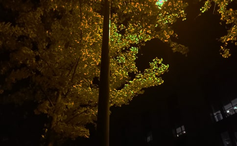 2023�꾭�����õ�����QQ�ʺ��Ｏ��83��