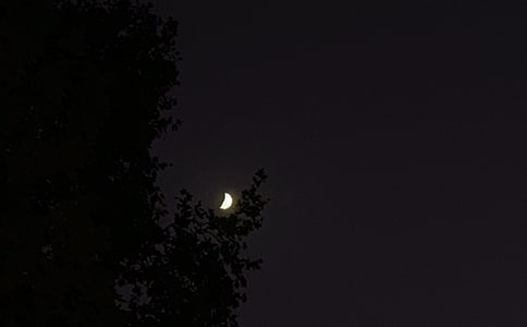 实用的唯美的晚安问候语语录大汇总73句