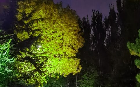 2023��򵥵����õ������ʺ�����¼����64��