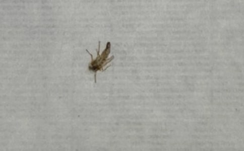 С���ۺϽ̰������������Ҳ��¡�