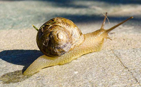 �а������๤�̰�С��ţ