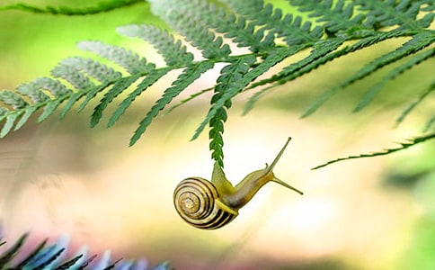 �а��ѧ�̰���ţ�����ܷ�˼