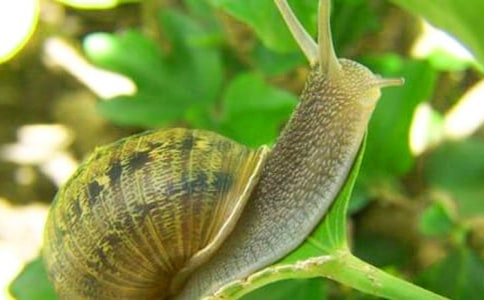 ����ѧ�̰�����ţ