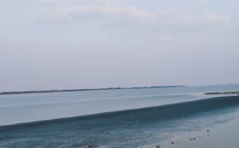 ���ǿ���ȥ�����