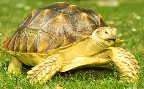 �ʹ��ڹ�ؼҽ̰�