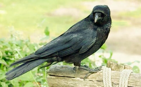 ����ѻ��ˮ���̰����Ļ���10ƪ