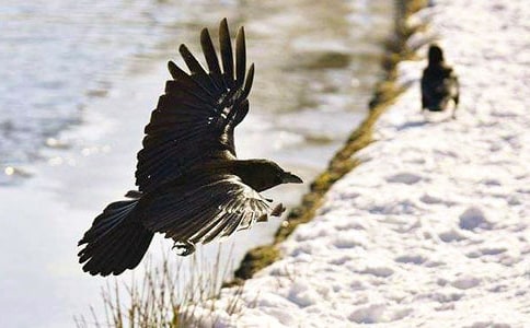 �˽̰�һ�꼶�²���ѻ��ˮ�̰�