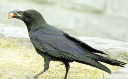 ����ѻ��ˮ����ѧ��˼(�Ƽ�)