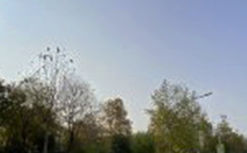 2023��Ψ�����簲QQ�ʺ����ϼ�83��