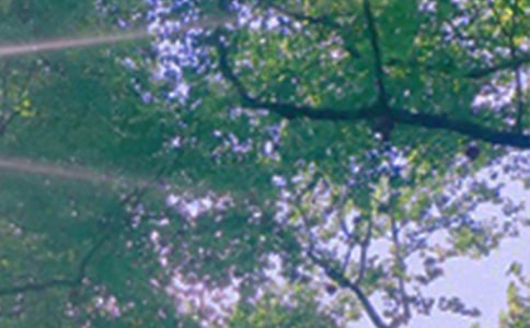 �������簲����60�侫ѡ