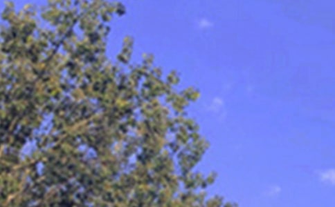 ��ܰ���簲�ʺ���ϼ�75��