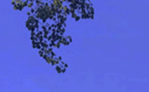 Ψ���簲����30��