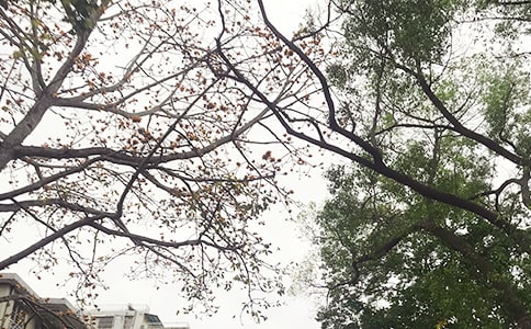 温暖的午安问候语短信汇编41条