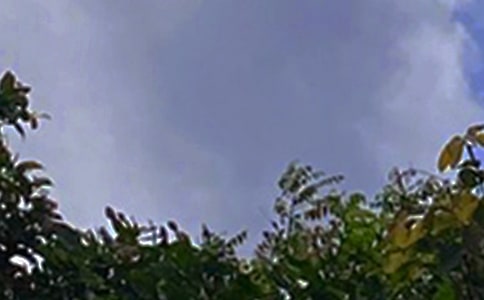 2023������ϵ�簲�ʺ�����Ż��91��