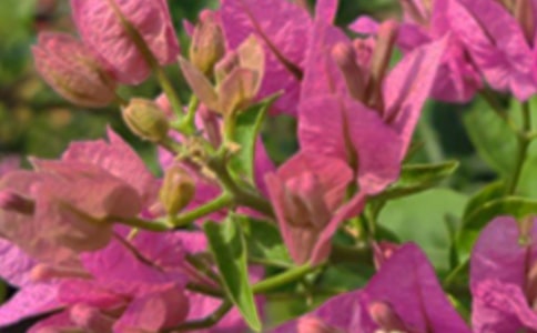 ����Ψ���簲���Դ�ȫ����ѡ60�䣩