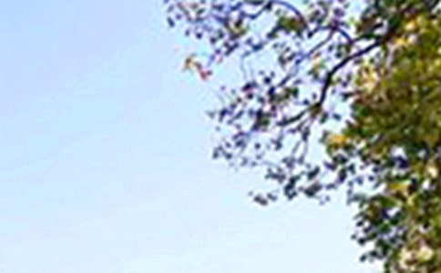 ����ϵ�簲�ʺ�����Ż��35��