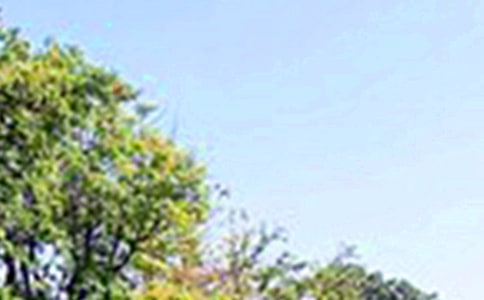 2023���������簲΢���ʺ������86��