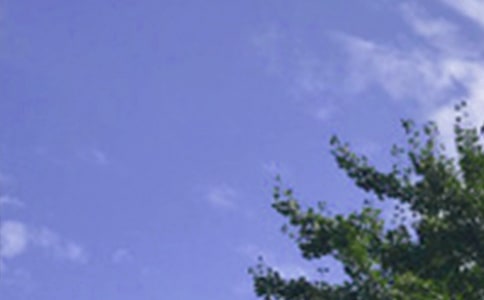 ��������Ȧ�簲���Ի��ܣ�ͨ��80�䣩