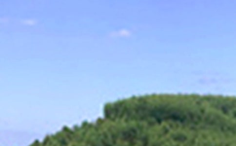 2024���������簲�ʺ��Ｏ��47��