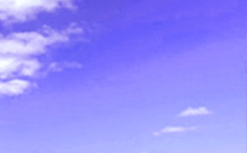 2023���������簲�ʺ������91��