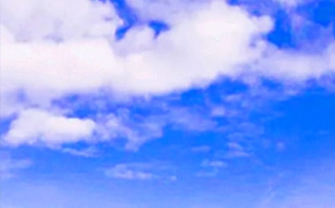 2024���簲΢���ʺ���ժ¼42��