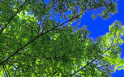 ����ϵ�簲�ʺ���38��