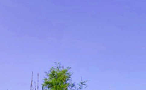 �������簲΢���ʺ���ϼ�48��