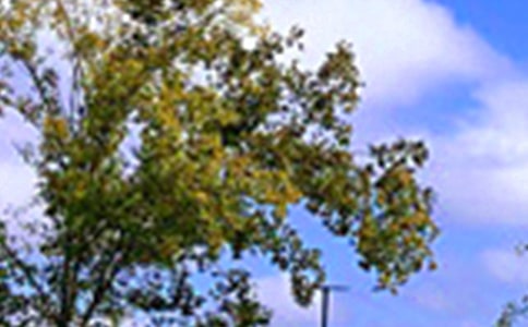 �����簲�ʺ������100�侫ѡ