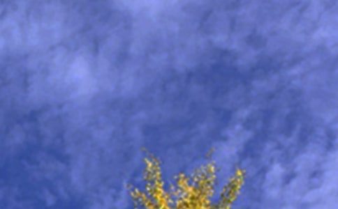 �������簲QQ�ʺ���ϼ�79��