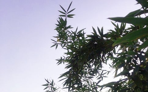 ��ܰ���簲�ʺ���86��