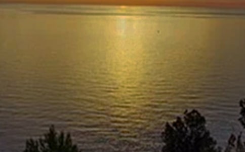 ���õ��簲QQ�ʺ���39��