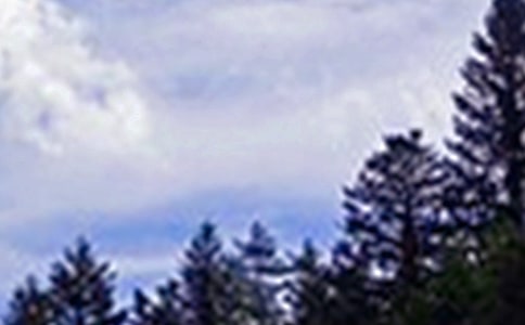 2023��Ψ�����簲QQ�ʺ���ժ¼85��