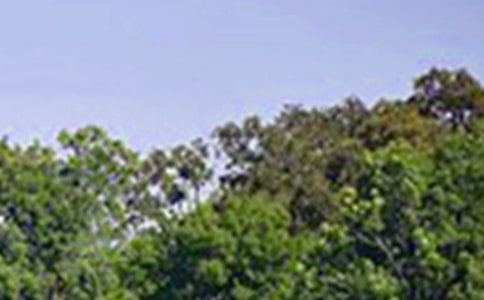 ���õ��簲�ʺ�����Ŵ�ϼ�77��