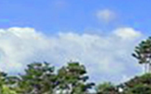 ����ϵ�簲΢���ʺ���ϼ�80��